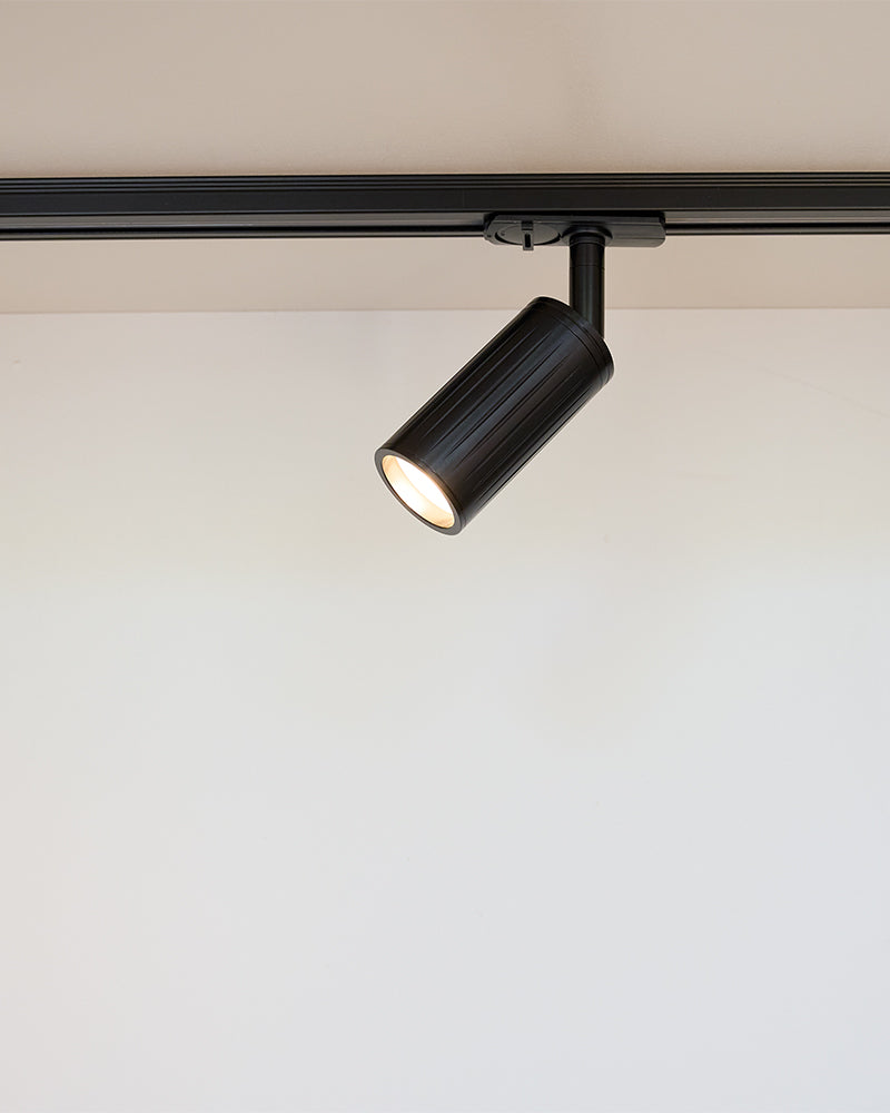 Luminar Track Mount Ceiling Light | Black