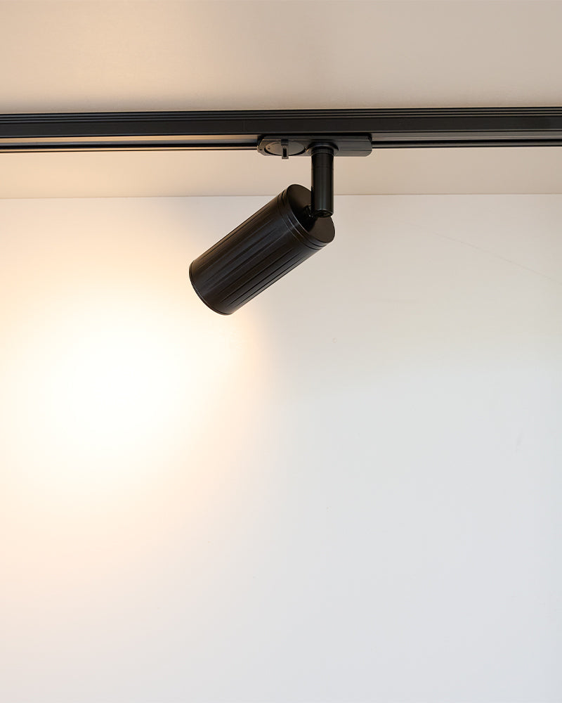 Luminar Track Mount Ceiling Light | Black