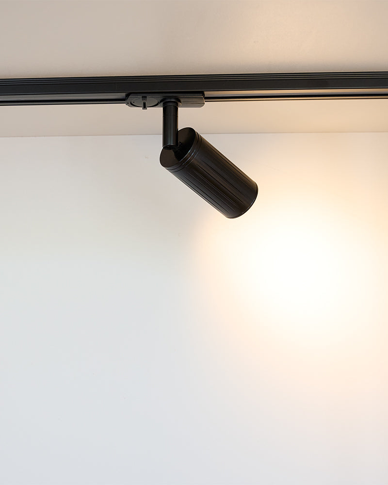 Luminar Track Mount Ceiling Light | Black