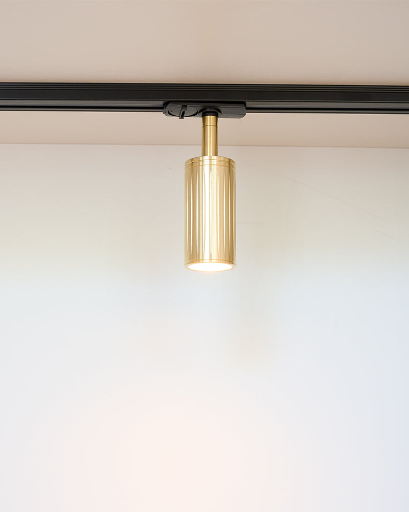 Luminar Track Mount Ceiling Light | Brass