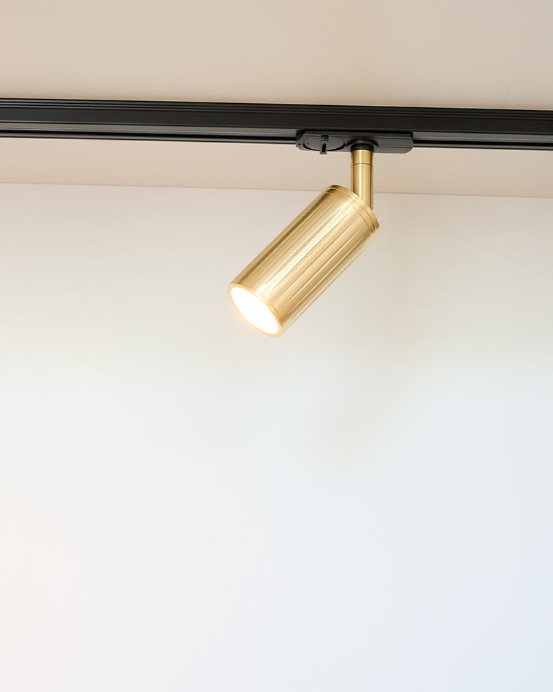 Luminar Track Mount Ceiling Light | Brass