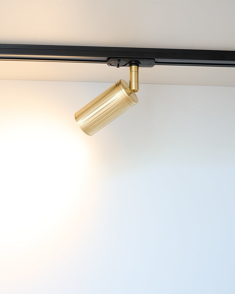 Luminar Track Mount Ceiling Light | Brass