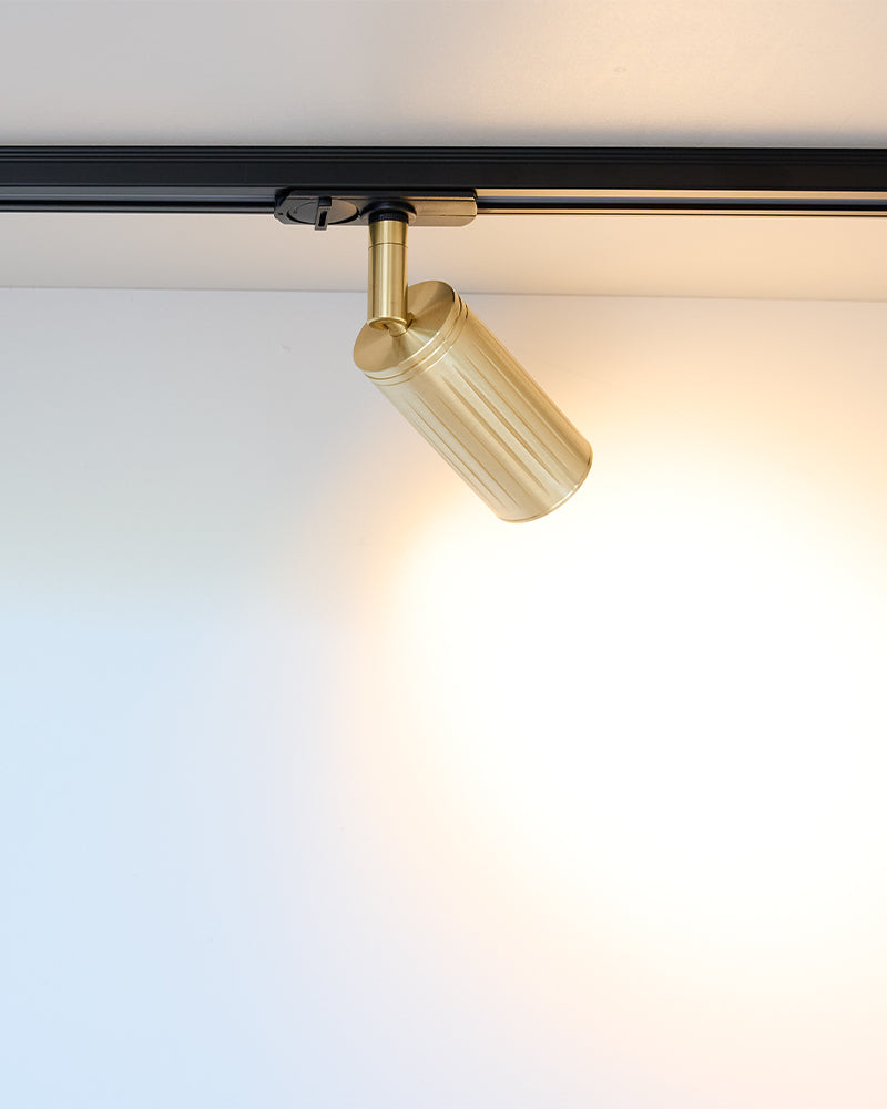 Luminar Track Mount Ceiling Light | Brass