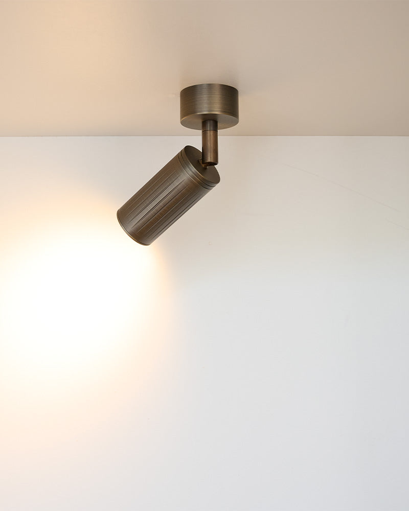 Luminar Canopy Ceiling Light | Browned Brass