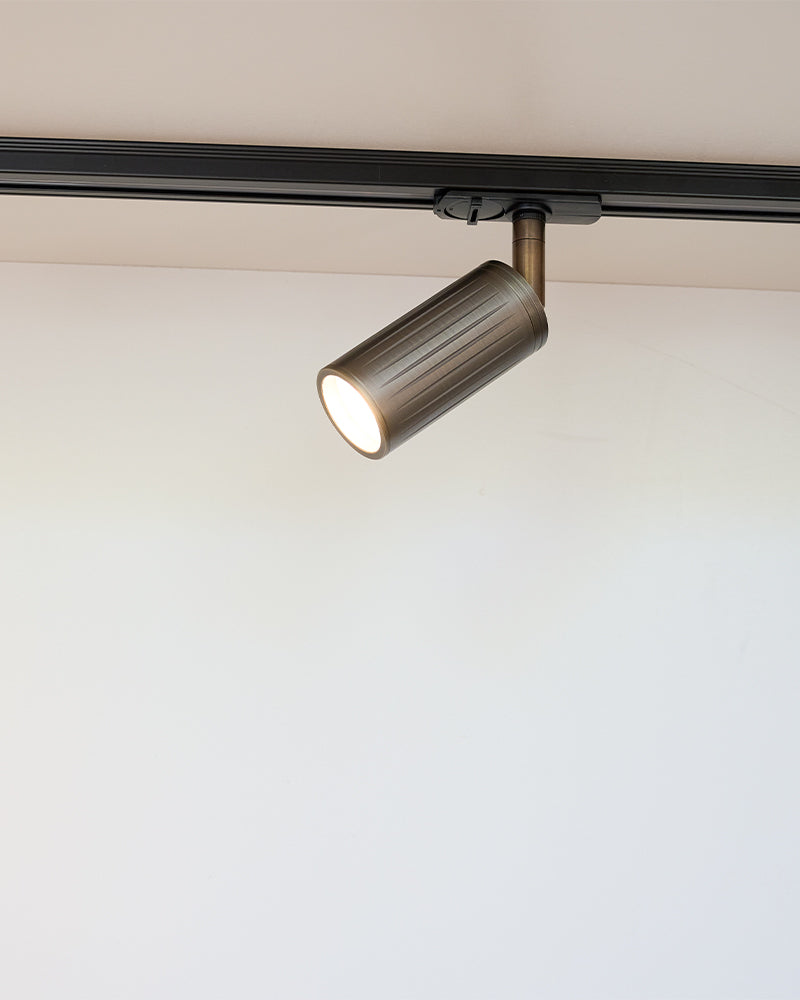 Luminar Track Mount Ceiling Light | Browned Brass