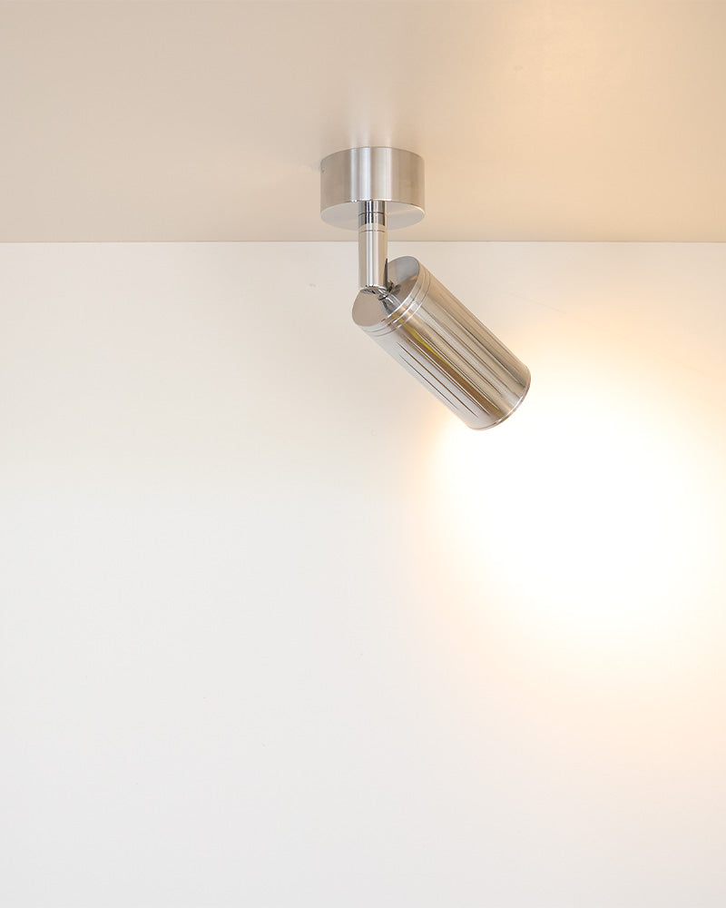 Luminar Canopy Ceiling Light | Steel