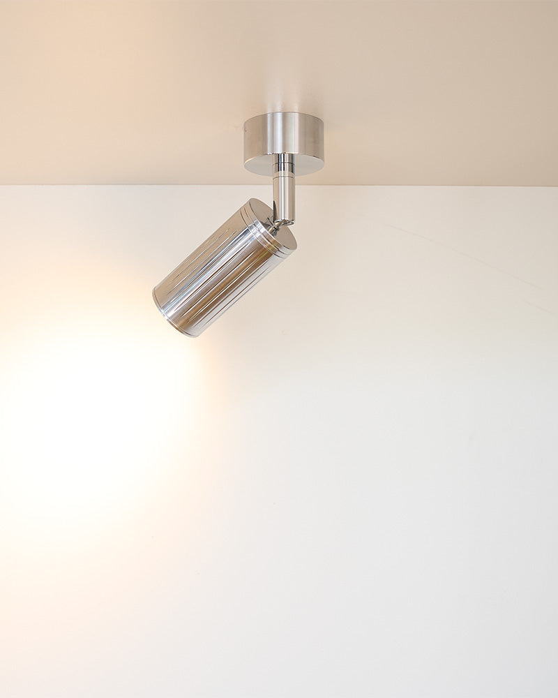 Luminar Canopy Ceiling Light | Steel