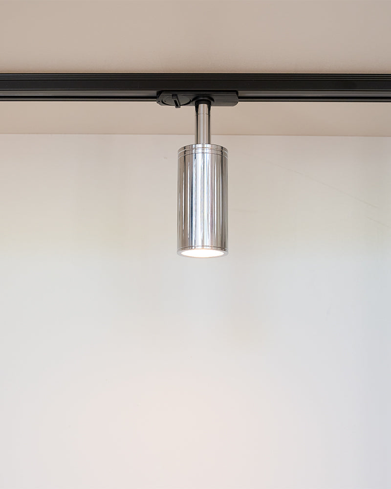Luminar Track Mount Ceiling Light | Steel