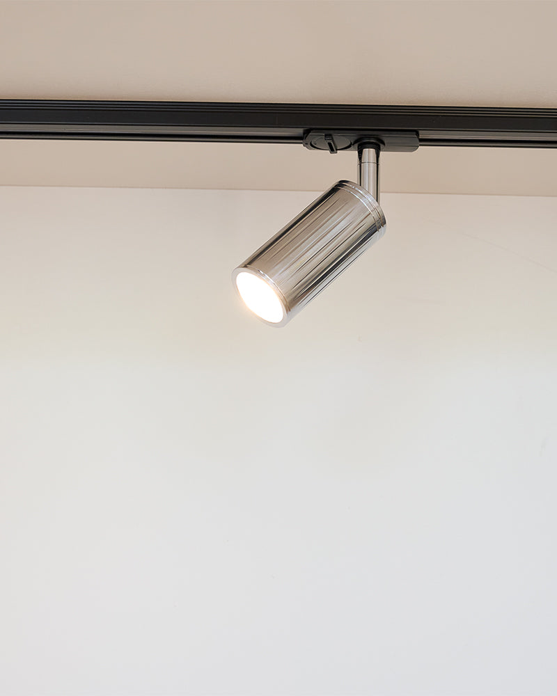 Luminar Track Mount Ceiling Light | Steel