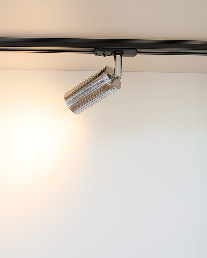 Luminar Track Mount Ceiling Light | Steel