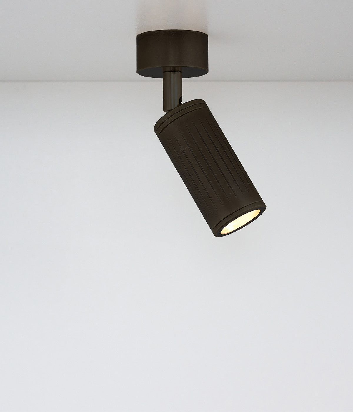 black ceiling spotlight