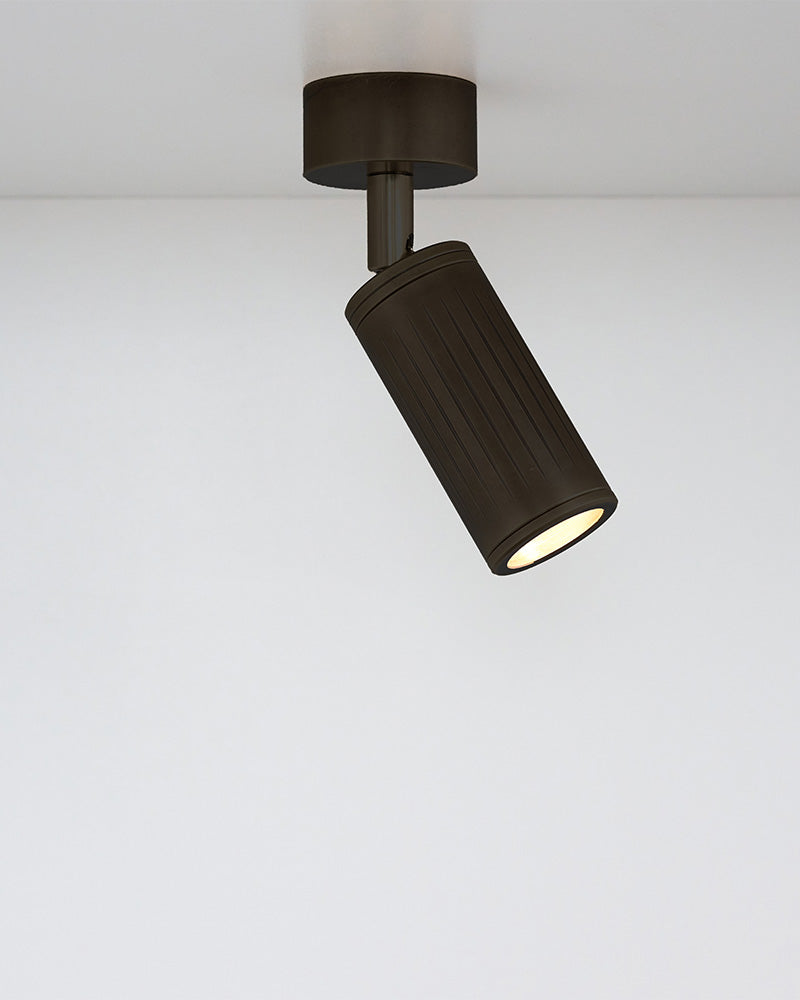 black ceiling lamp with spotlight